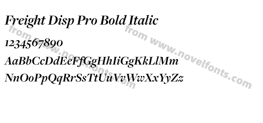 Freight Disp Pro Bold ItalicPreview