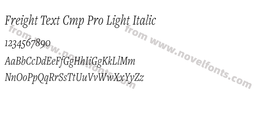 Freight Text Cmp Pro Light ItalicPreview