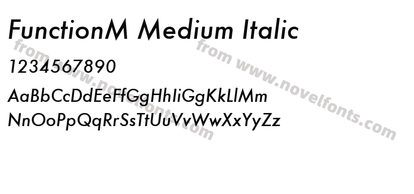 FunctionM Medium ItalicPreview