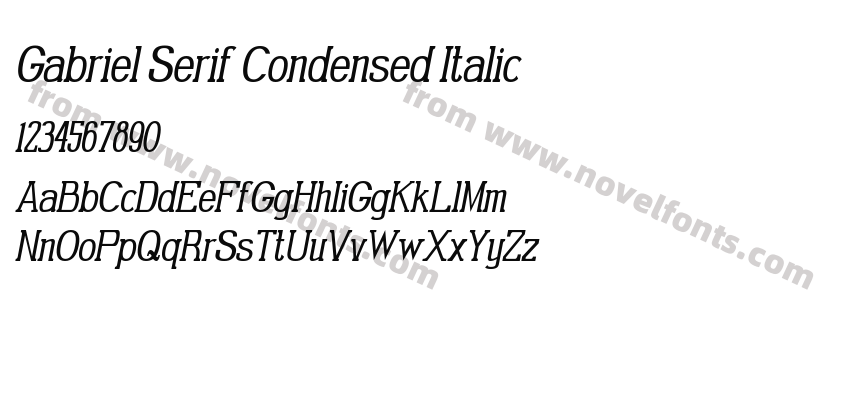 Gabriel Serif Condensed ItalicPreview