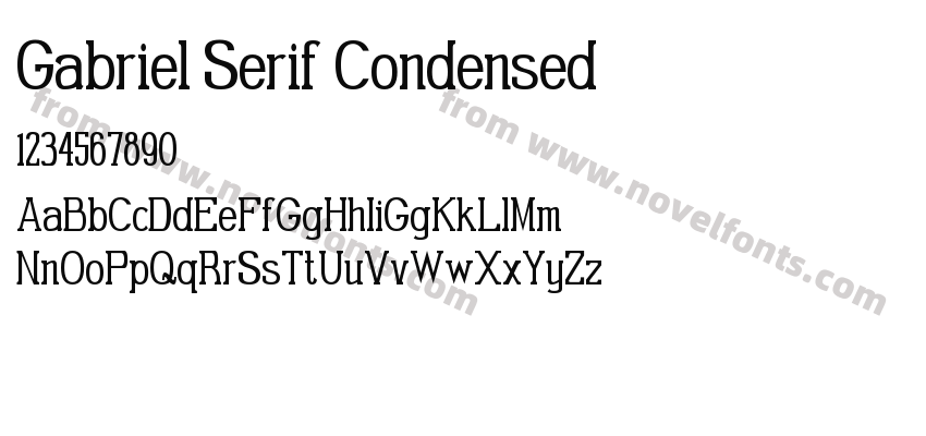 Gabriel Serif CondensedPreview