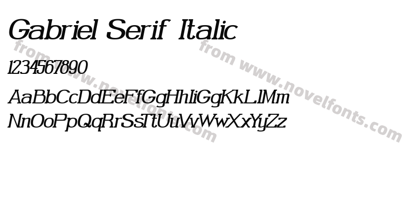 Gabriel Serif ItalicPreview