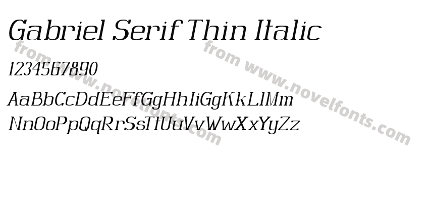 Gabriel Serif Thin ItalicPreview