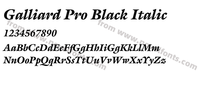 Galliard Pro Black ItalicPreview