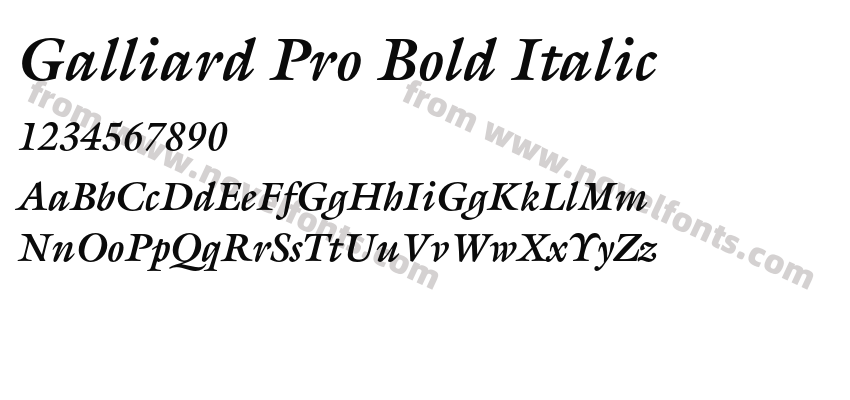 Galliard Pro Bold ItalicPreview