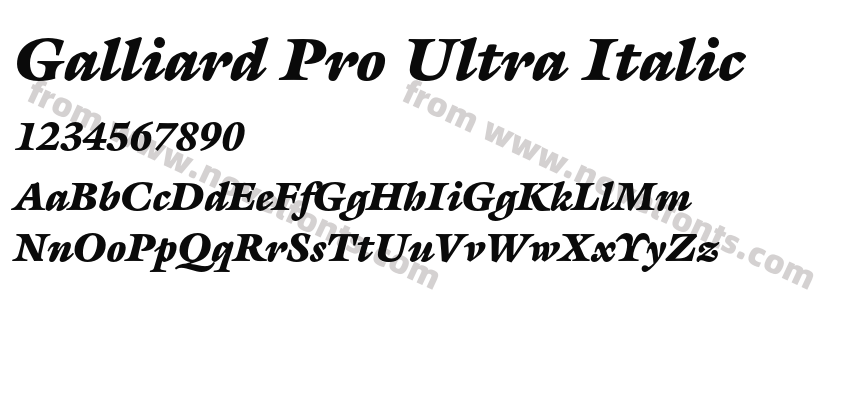 Galliard Pro Ultra ItalicPreview