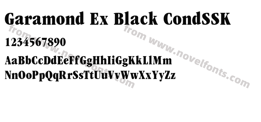 Garamond Ex Black CondSSKPreview