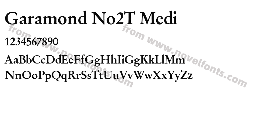 Garamond No2T MediPreview