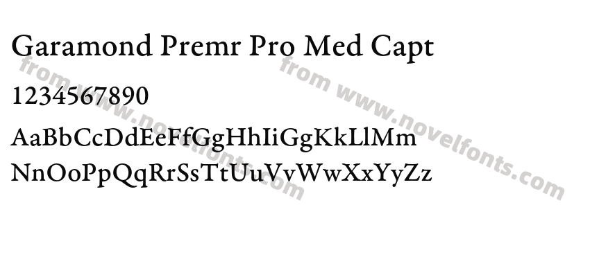 Garamond Premr Pro Med CaptPreview