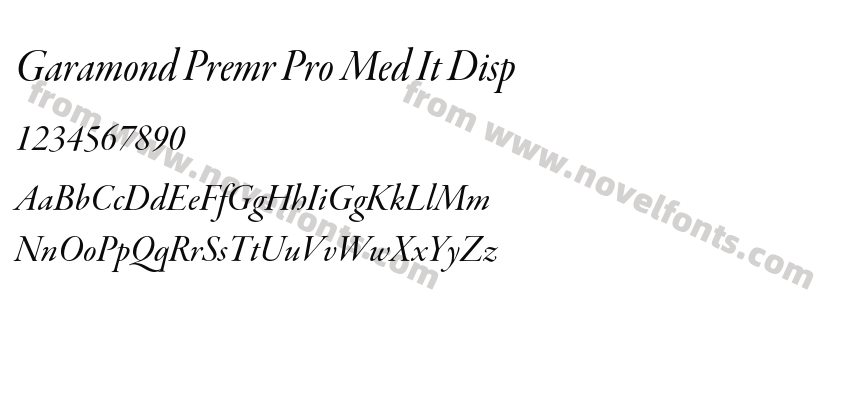 Garamond Premr Pro Med It DispPreview