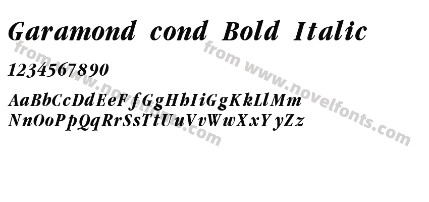 Garamond cond Bold ItalicPreview