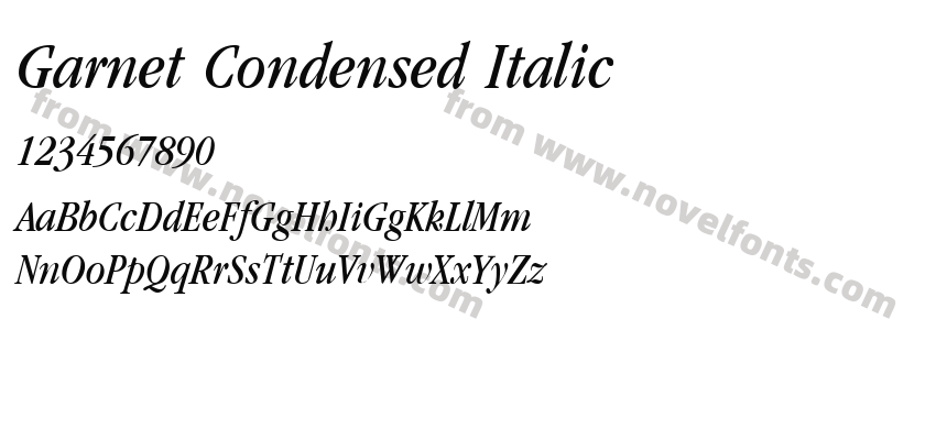 Garnet Condensed ItalicPreview