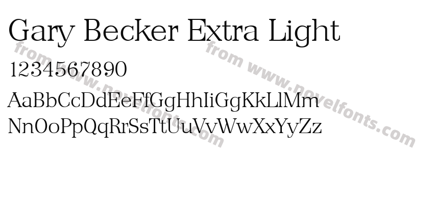 Gary Becker Extra LightPreview