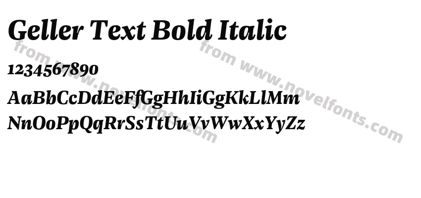 Geller Text Bold ItalicPreview