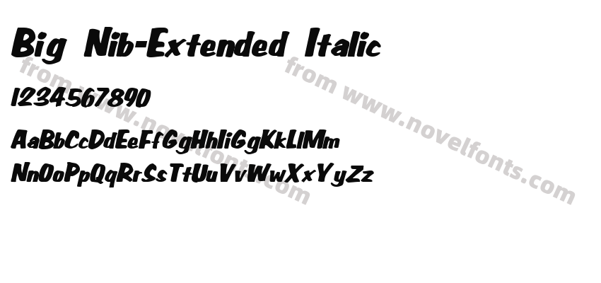 Big Nib-Extended ItalicPreview