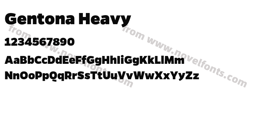 Gentona HeavyPreview