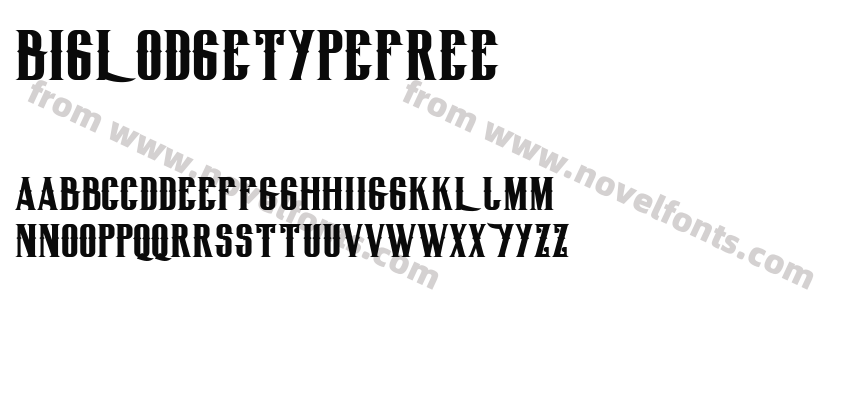 BigLodgeTypeFreePreview