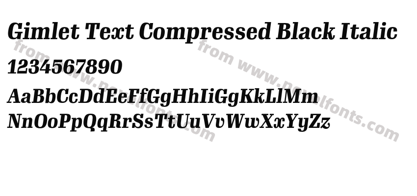 Gimlet Text Compressed Black ItalicPreview