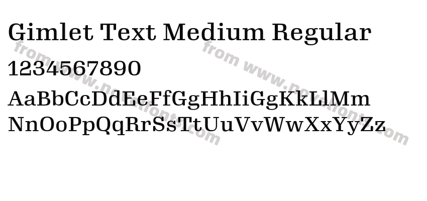 Gimlet Text Medium RegularPreview