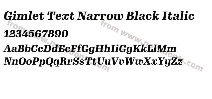 Gimlet Text Narrow Black ItalicPreview