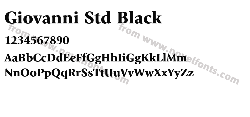 Giovanni Std BlackPreview