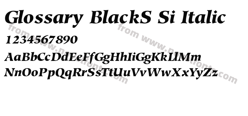 Glossary BlackS Si ItalicPreview