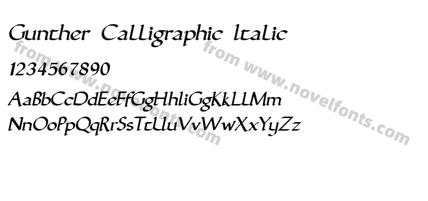 Gunther Calligraphic ItalicPreview