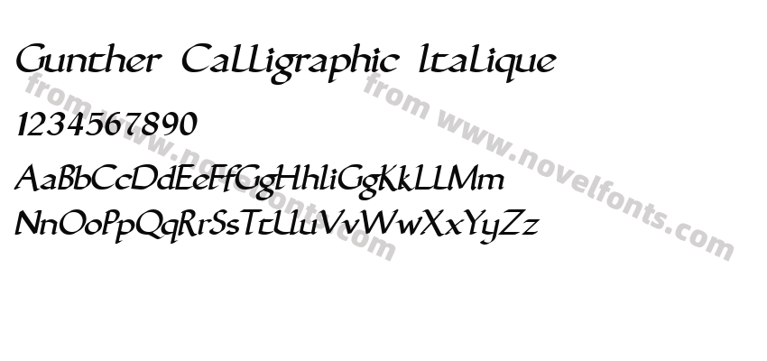 Gunther Calligraphic ItaliquePreview