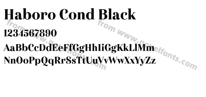 Haboro Cond BlackPreview