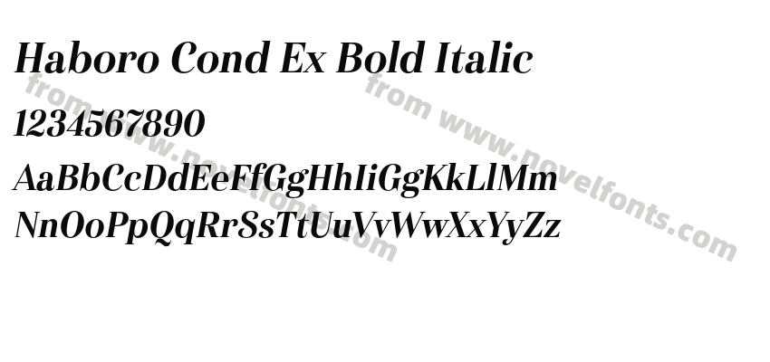 Haboro Cond Ex Bold ItalicPreview