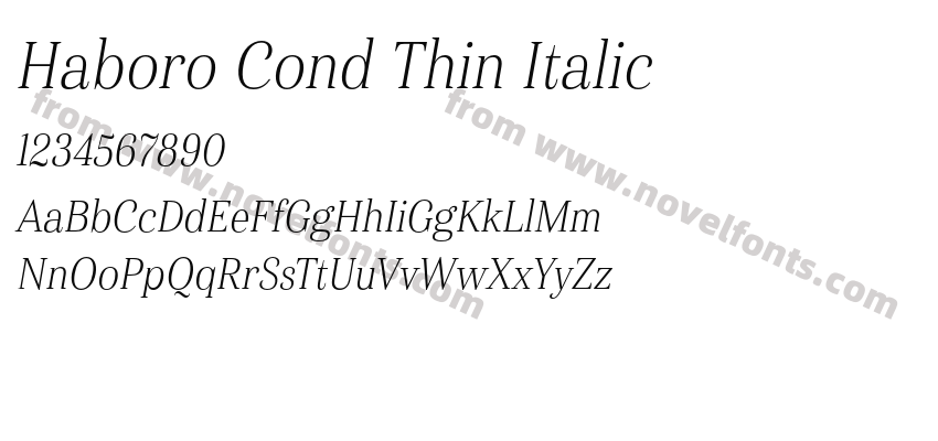 Haboro Cond Thin ItalicPreview