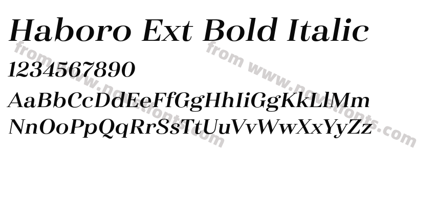 Haboro Ext Bold ItalicPreview