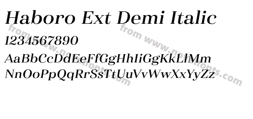 Haboro Ext Demi ItalicPreview