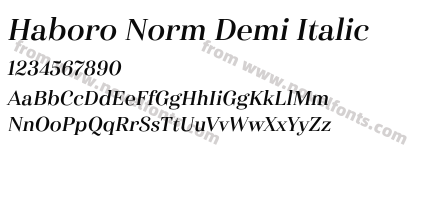 Haboro Norm Demi ItalicPreview