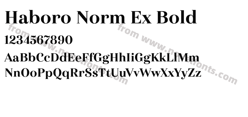 Haboro Norm Ex BoldPreview