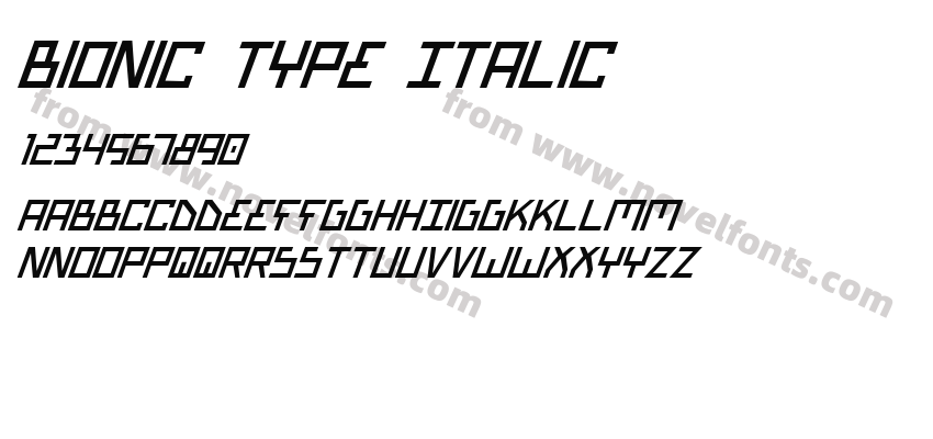 Bionic Type ItalicPreview