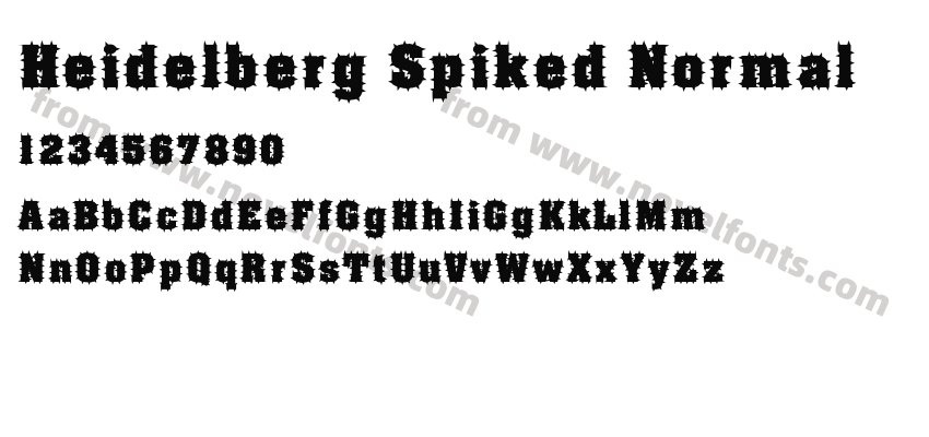 Heidelberg Spiked NormalPreview