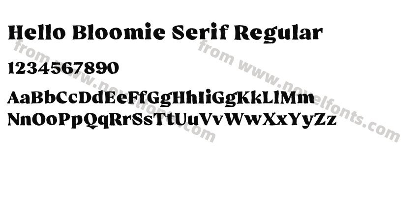 Hello Bloomie Serif RegularPreview