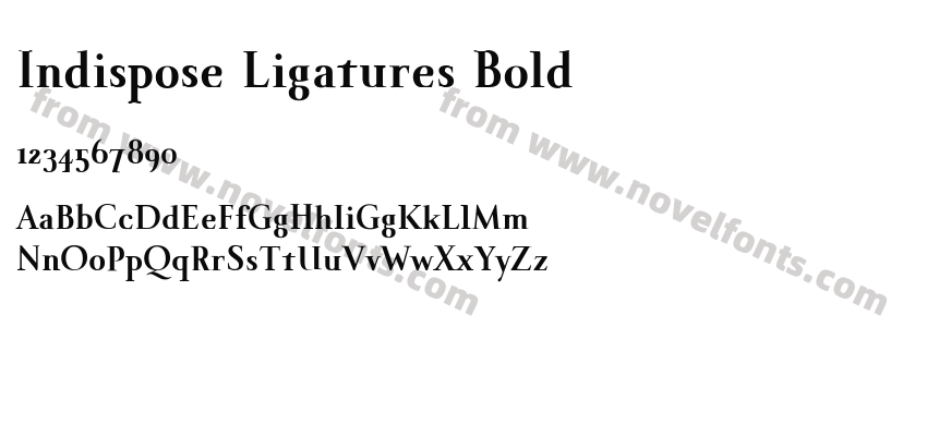 Indispose Ligatures BoldPreview