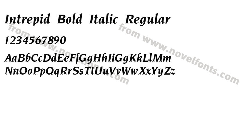 Intrepid Bold Italic RegularPreview