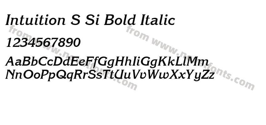 Intuition SSi Bold ItalicPreview