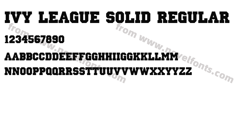 Ivy League Solid RegularPreview