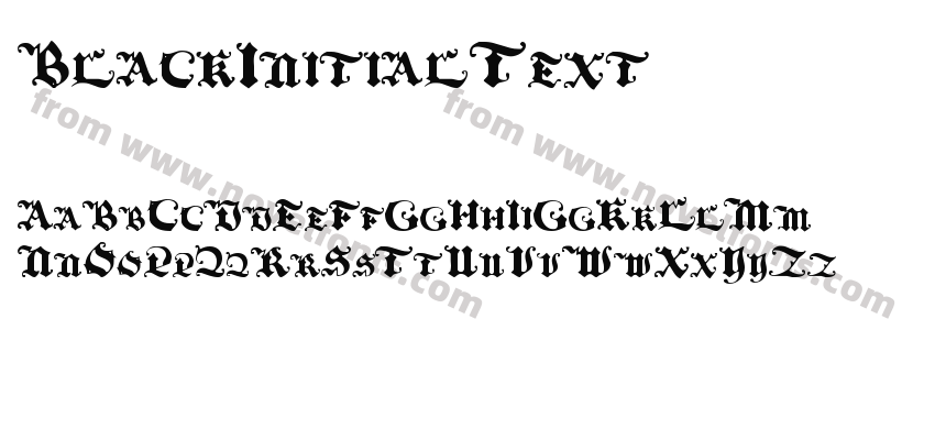 BlackInitialTextPreview