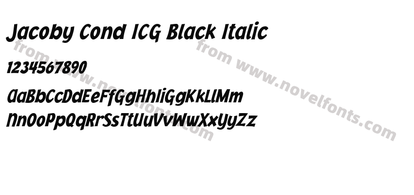 Jacoby Cond ICG Black ItalicPreview