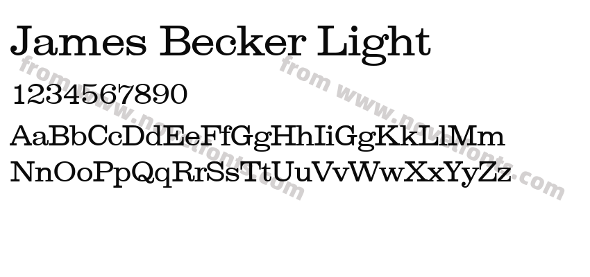 James Becker LightPreview