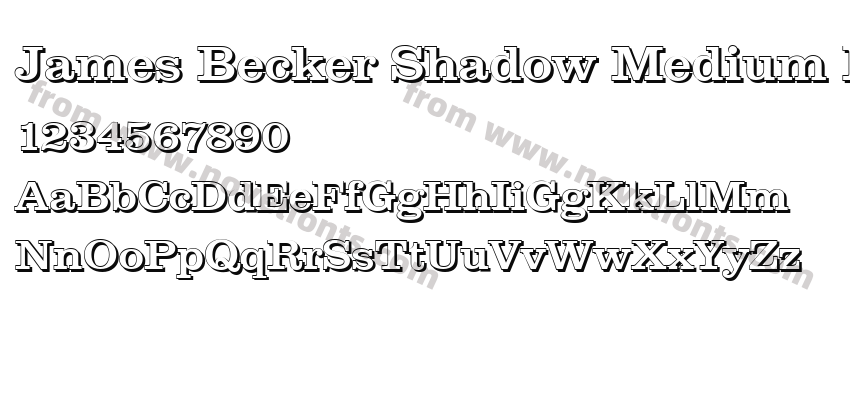 James Becker Shadow Medium RegularPreview