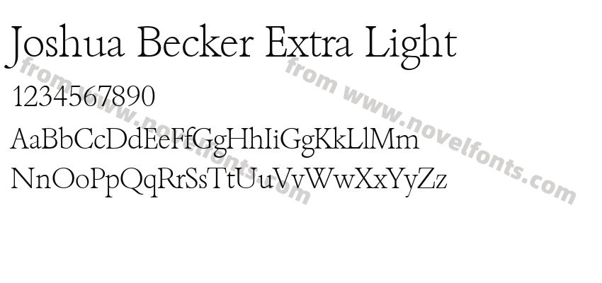 Joshua Becker Extra LightPreview