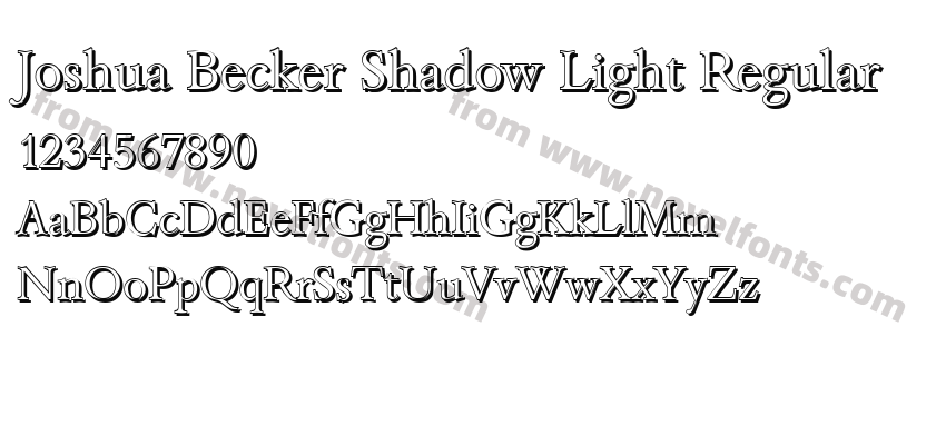 Joshua Becker Shadow Light RegularPreview