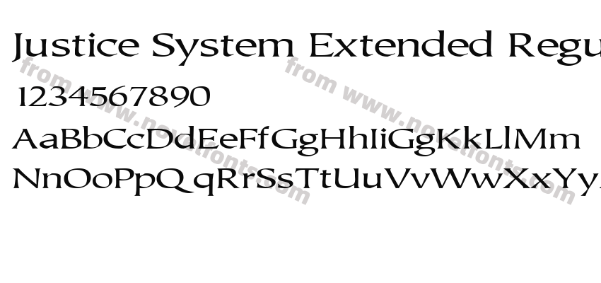 Justice System Extended RegularSWFTEPreview