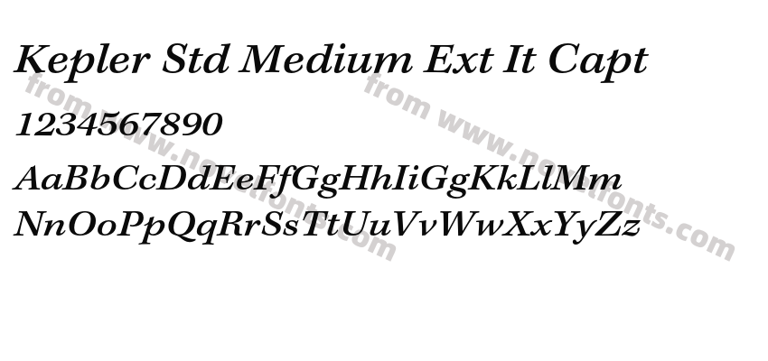 Kepler Std Medium Ext It CaptPreview